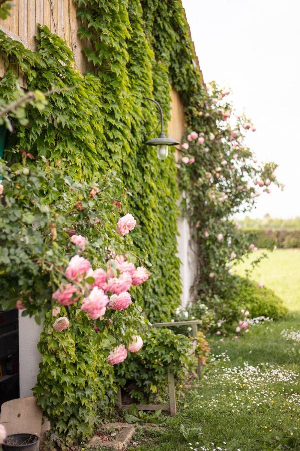 La Casa Vecchia B&B Camisano Vicentino Eksteriør billede