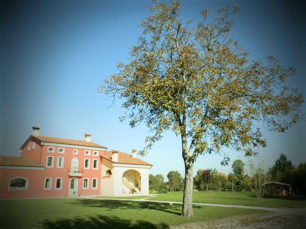 La Casa Vecchia B&B Camisano Vicentino Eksteriør billede