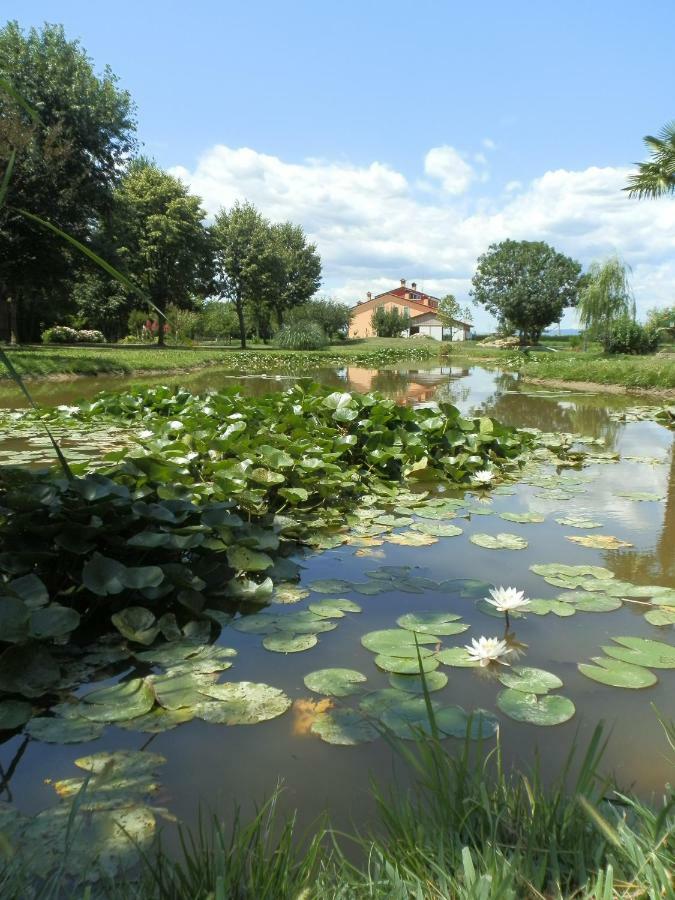 La Casa Vecchia B&B Camisano Vicentino Eksteriør billede